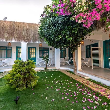 Avlu Otel Datca Bagian luar foto
